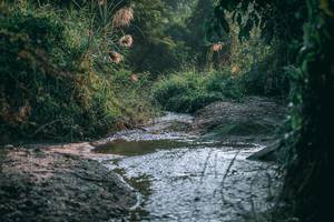 BIB: 
                            <button type="button" onclick="openModal(13716528)" class="btn btn-primary btn-sm float-right btn-popup" data-toggle="modal" data-target=".modal-high-quality">
                        <i class="fas fa-shopping-cart"></i> Add to Cart
                    </button>
                                            <button type="button" onclick="isThisMe(13716528, true)" class="btn btn-success btn-sm float-right btn-popup btn-isme hidden" data-toggle="tooltip" data-placement="bottom" title="นี่คือรูปของคุณใช่ไหม คลิกที่นี่เพื่อเอาเข้าอัลบั้ม">
                        <i class="fas fa-plus"></i> Add to album
                    </button>
                    <button type="button" onclick="isThisMe(13716528, false)" class="btn btn-warning btn-sm float-right btn-popup btn-isnotme hidden">
                        <i class="fas fa-ban"></i> Remove from album
                    </button>